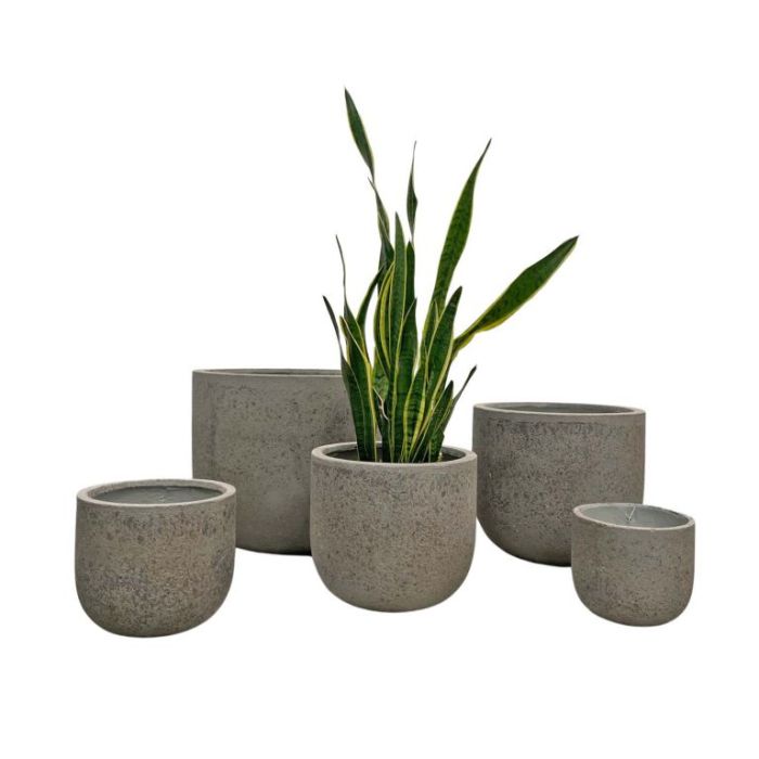 ortakfikirler.com